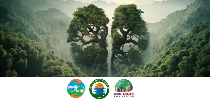 TÜRKİYE’NİN COP31 EV SAHİPLİĞİ: Çözüm Olmayan İklim Politikalarını Meşrulaştırma Girişimi 1 1764437377133