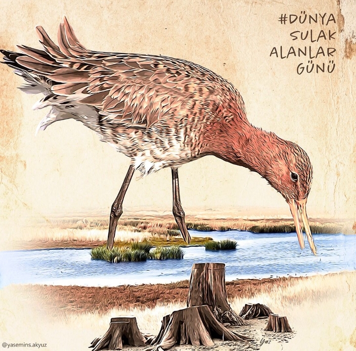 2 ŞUBAT DÜNYA SULAK ALANLAR GÜNÜ 1 2 ŞUBAT DÜNYA SULAK ALANLAR GÜNÜ